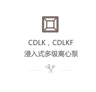 CDLK，CDLKF浸入式多級(jí)離心泵